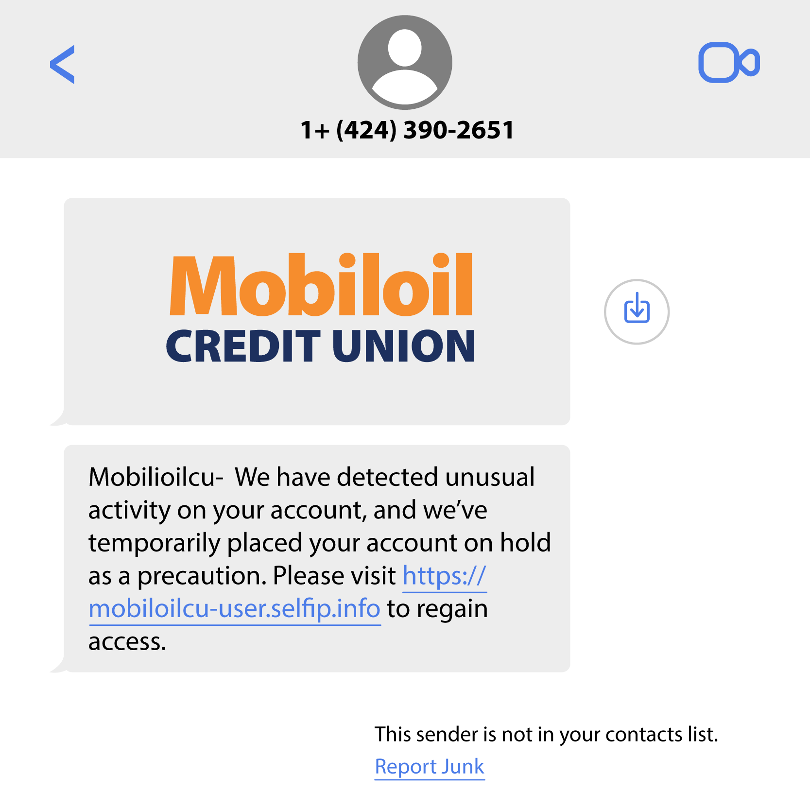 Fraudulent Text Example
