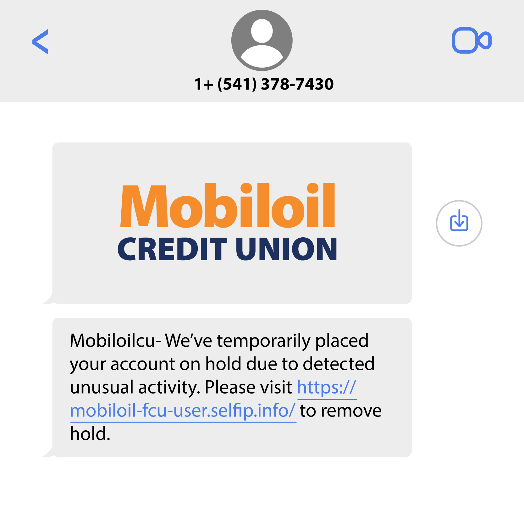 Fraudulent Text Example