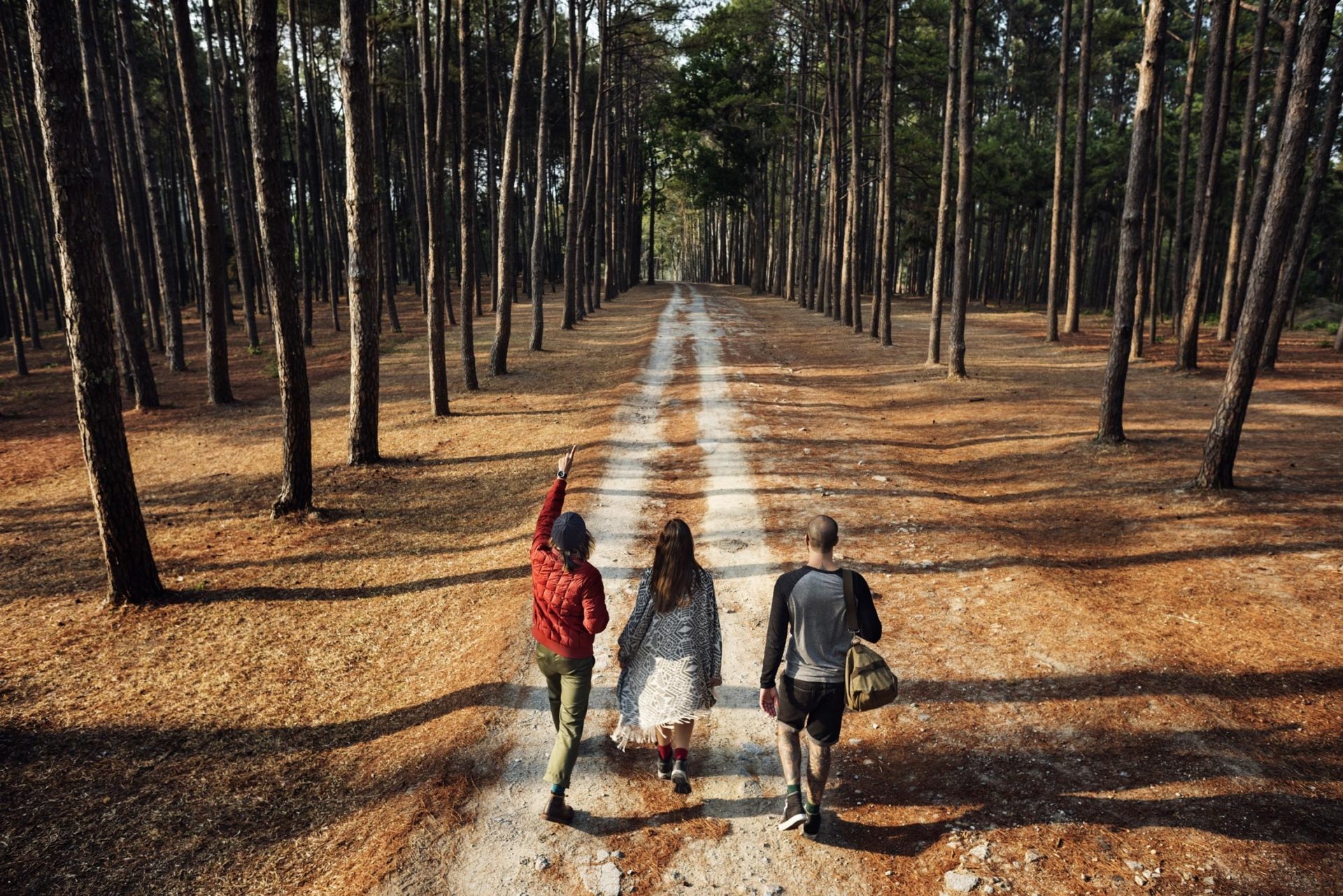 Three friends walking through a forest trail.